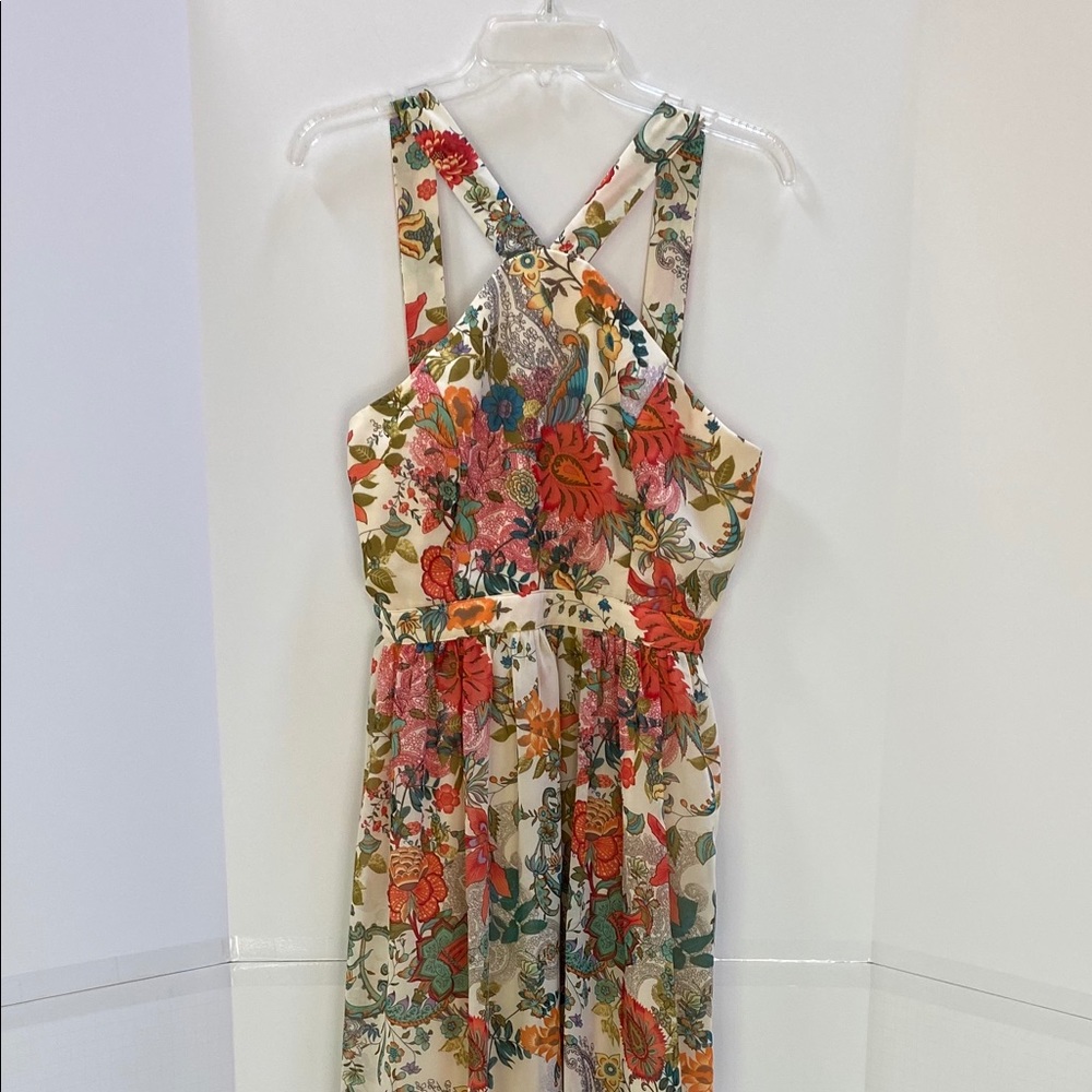 Lulu’s size L Air of Romance maxi dress mod floral